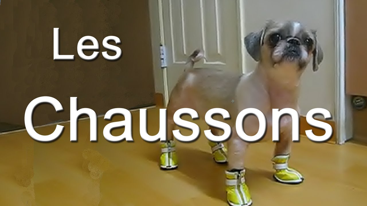 L Imprimante Parole De Chat Youtube L Imprimante Parole De Chat Youtube