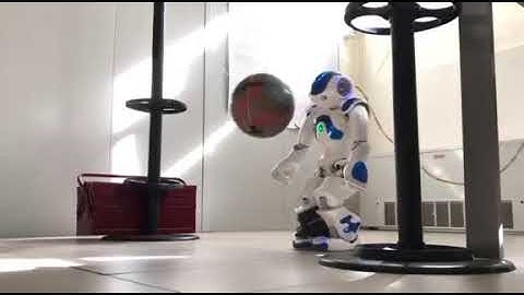 Humanoid Push Recovery Experiment