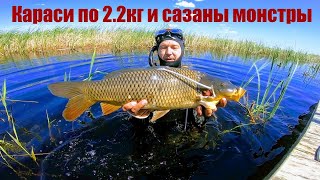 Самые большие караси ЁКЛМН. Подводная охота 2021. Сазан рыбалка. Рыбалка 2021. Рыбалка на карася .