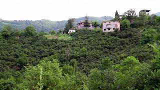 Derecik, Akçaabat -  Trabzon