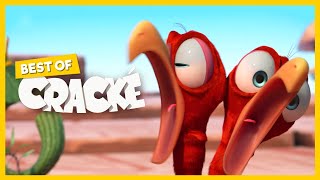 CRACKE - ДВОЙНАЯ ОПАСНОСТЬ | Мульфильмы для детей | от компании Squeeze