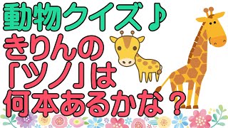 動物クイズ！幼児から大人向けまで楽しい問題を10問紹介するよっ！ screenshot 5