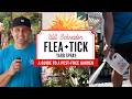 Will's (flea free) Garden