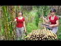 Harvesting sugar cane and vegetables go to market sell  free bushcraft  phng th phng