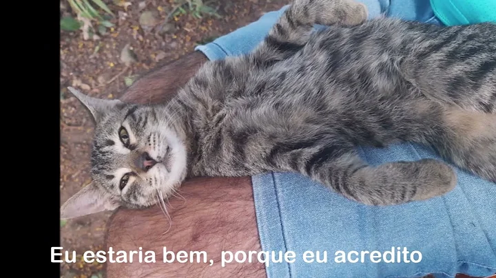 Homenagem para Guinther Pauli - "The Spirit Carrie...