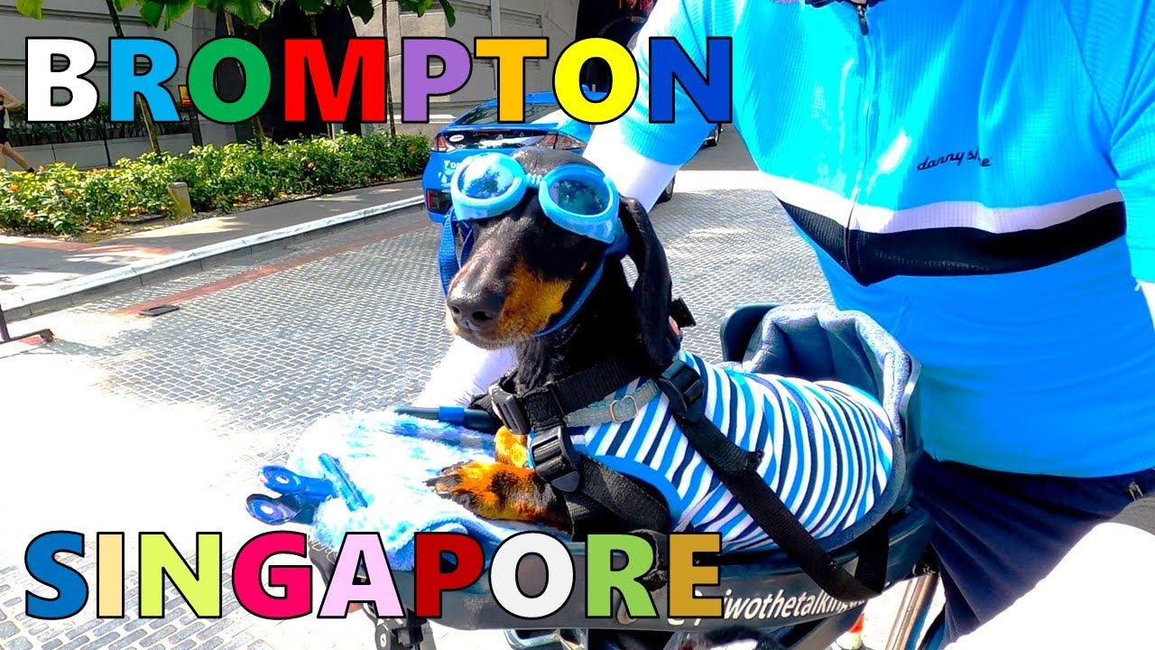 【世界はBROMPTONで繋がっている！ 】シンガポール、BROMPTONぼっちライド～Singapore, it is BROMPTON paradise～