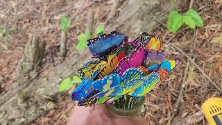 Hanging #Butterflies