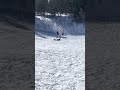 Vicki Sledding at Capulin Snow Play Area