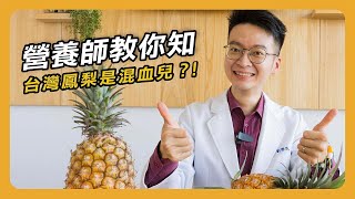 【營養師教你知EP6】台灣鳳梨是混血兒?! | 帶你認識台灣鳳梨 ... 