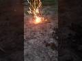 happy Diwali technical experiment bom 😱#technology #experiment #viral