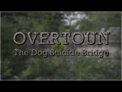 The Place Where Dogs Commit Suicide, Overtoun Bridge : Ghastly Trails