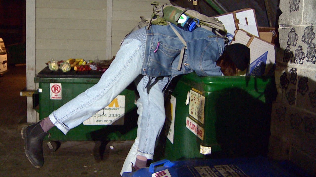 Dumpster dive reveals 'indescribable' food waste YouTube