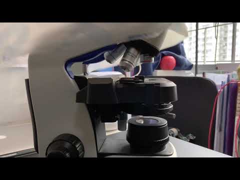 How to use the Olympus cx23 microscope(short version)