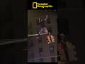Tweaker Geographic Episode 13: “Loot”