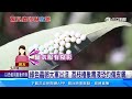 白衣出現「荔枝椿象蟲卵」！崩潰發文引出一票苦主｜三立新聞網 SETN.com