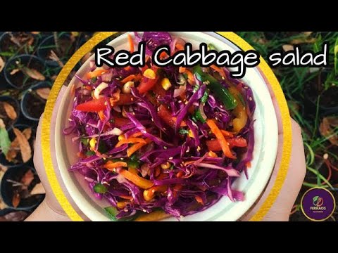 Red Cabbage Salad | Crunchy Cabbage Salad in 10 Minutes | Easy & Healthy Salad