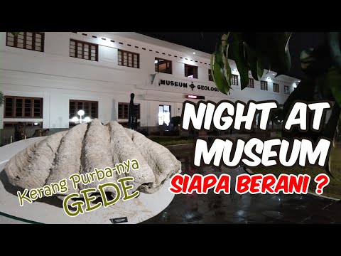 Video: Apa Itu Malam Museum?