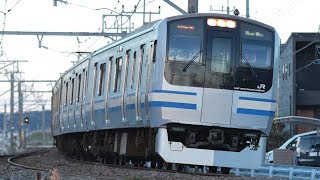 【4K】猫線路横断シーンあり E217系Y-16編成 総武線快速上総一ノ宮行 外房線大網～永田