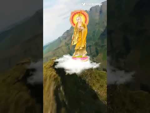 Video Nam Mô Đại Hiếu Mục Kiền Liên Bồ Tát.. - youtube