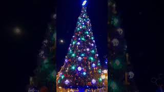 happy Christmas#short #shorts #shortvideo #viral