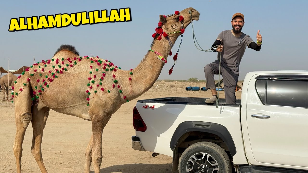 Alhamdulillah boht pyarey camel ka sauda kar lia 😍🐪