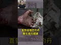 【总裁60秒】斷頭台，竟然是為了人道主義而發明的？？#shorts