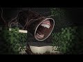 I shouldn't have entered this forest...