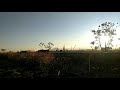 EFCB- Trecho em Canas-SP, proximidades de Cachoeira Paulista.