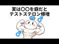 【覚醒】テストステロンを底上げする成分BEST25