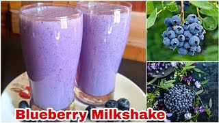 Blueberry Milkshake | Blueberry Shake Recipe | Healthy Summer Drink | The Woods Café