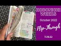 October 2022 Flip-Through | Hobonichi Weeks | 11.19.22 | Functional Planning | Architect Destiny