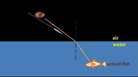 Refraction and fishing