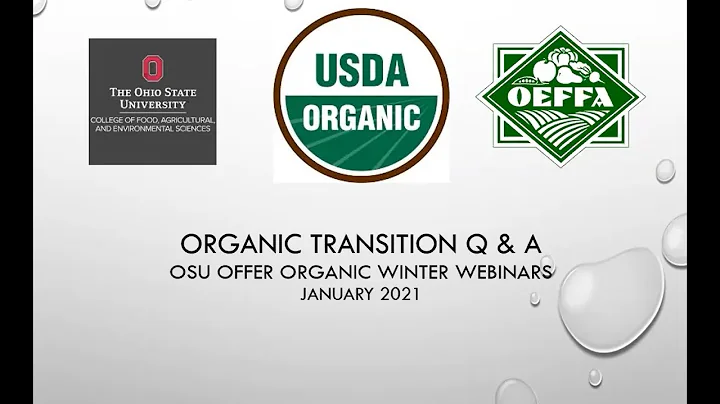 Transition Q&A with Julia Barton
