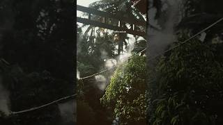 Rain garden cafe 🤍☕️✨ #food #relaxing #thrissur #cafevlog #raingarden #minivlog#travel #shortvideo