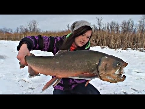 скачать goliath от механиков rutor скачать goliath от механиков rutor
