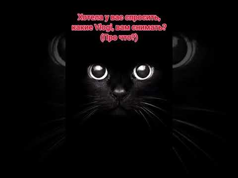 Смотрите описание! 👇