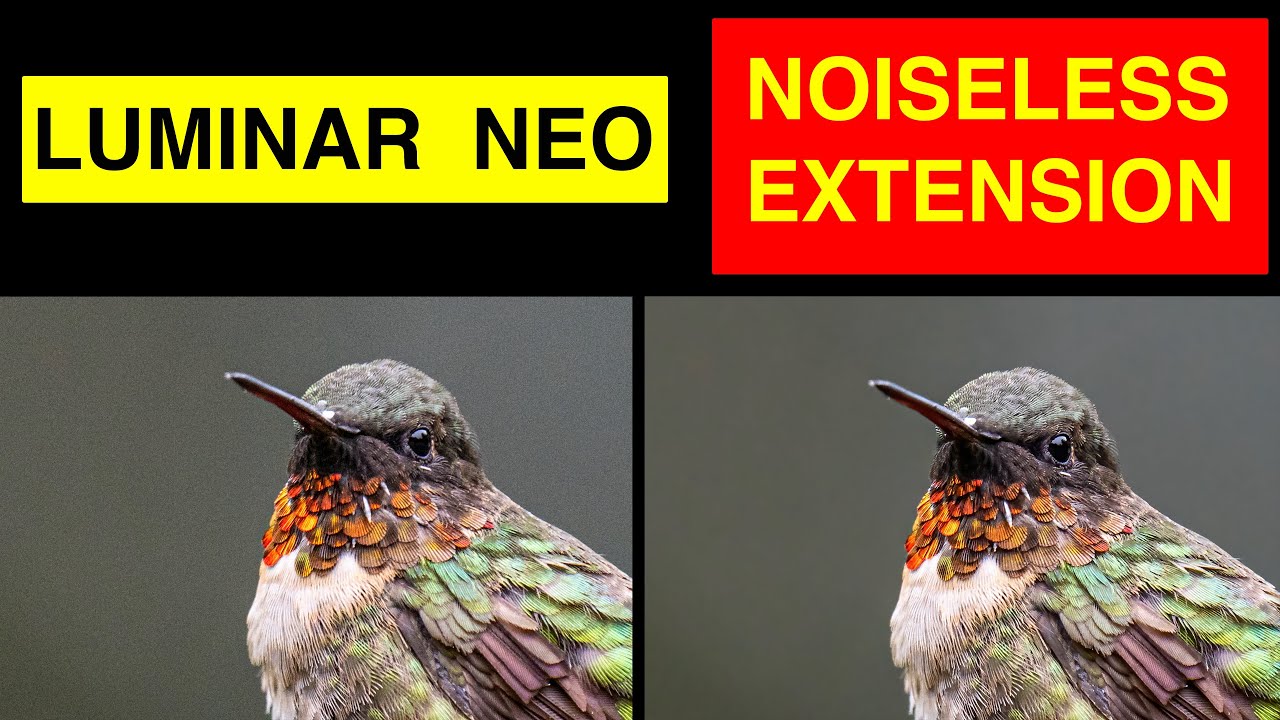 Luminar Neo. Noiseless Extension test and review. Neo noiseless vs