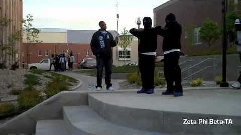 Zeta Phi Beta Sigma Probate Spring 2010 1/3