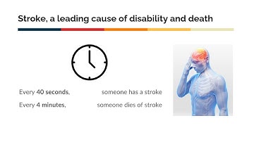Stroke Chatbot and Risk Prediction