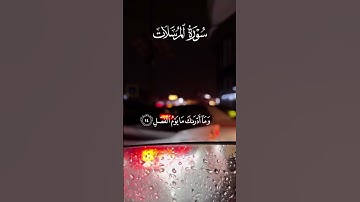 #القارئ علاء عقل