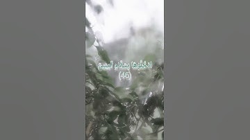 القارئ هزاع البلوشي (إِنَّ الْمُتَّقِينَ فِي جَنَّاتٍ وَعُيُونٍ) 🍃