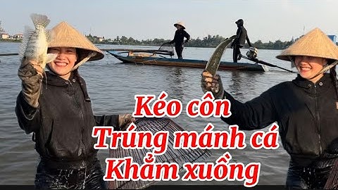 Kéo côn trúng mánh cá mùa lũ rút, món cá chưng tương #Mientay 