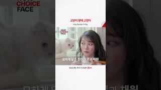 고양이 옆에 고양이