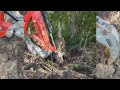 95 pt 2 digging first stump with bxpanded root ripper  trenching bucket