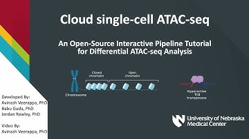 Open-Source Interactive ATAC-Seq Analysis - ATAC-Seq and Single-Cell ATAC-Seq Analysis (1 of 1)