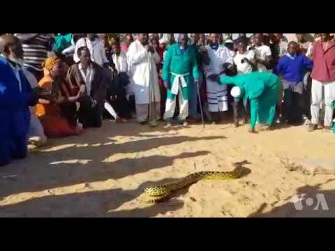 Abaporofethi Bathi Bakhipha Umgobho Ohluphayo Edamu EGaranyemba