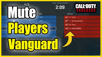 How to Mute Players or Mute All in Call of Duty Vanguard (Disable Game Chat)