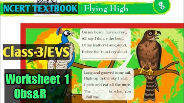Flying High Class 3 Evs | Evs Worksheet for class 3 | Flying High |NCERT