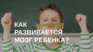 Этапы развития мозга ребенка | Советы логопеда-нейропсихолога Натальи Талызиной | 10.04.2024