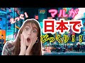 【国際カップル】マルが日本でびっくりしたこと１２選！